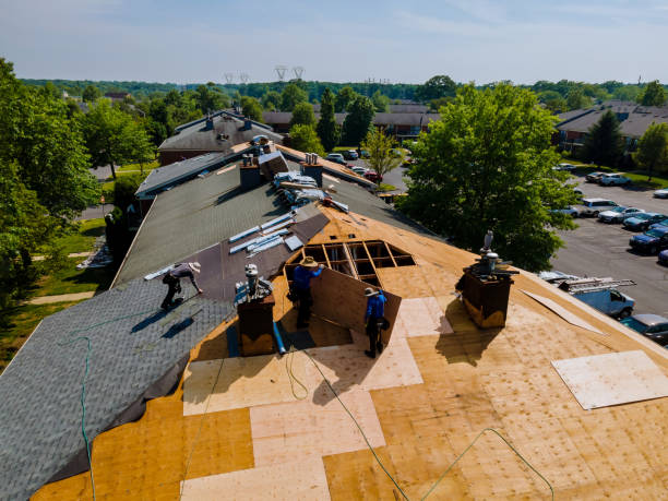 Best Flat Roof Repair Services  in Whitg, IN
