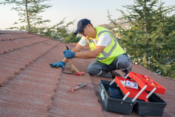 Best Commercial Roofing Services  in Whitg, IN